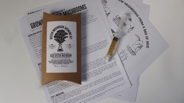 Mushroom Science Kits